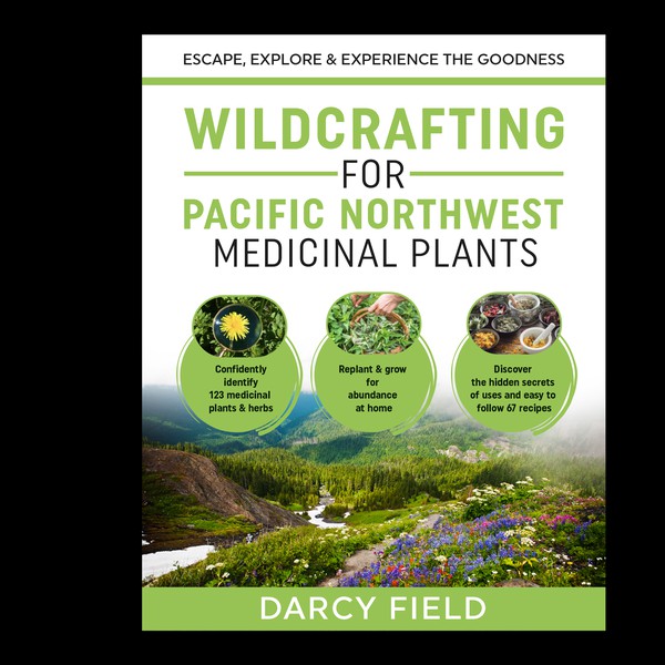 Design by Strangeldeas titled "book cover design"