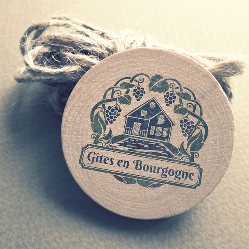  contest entry by zelamaris