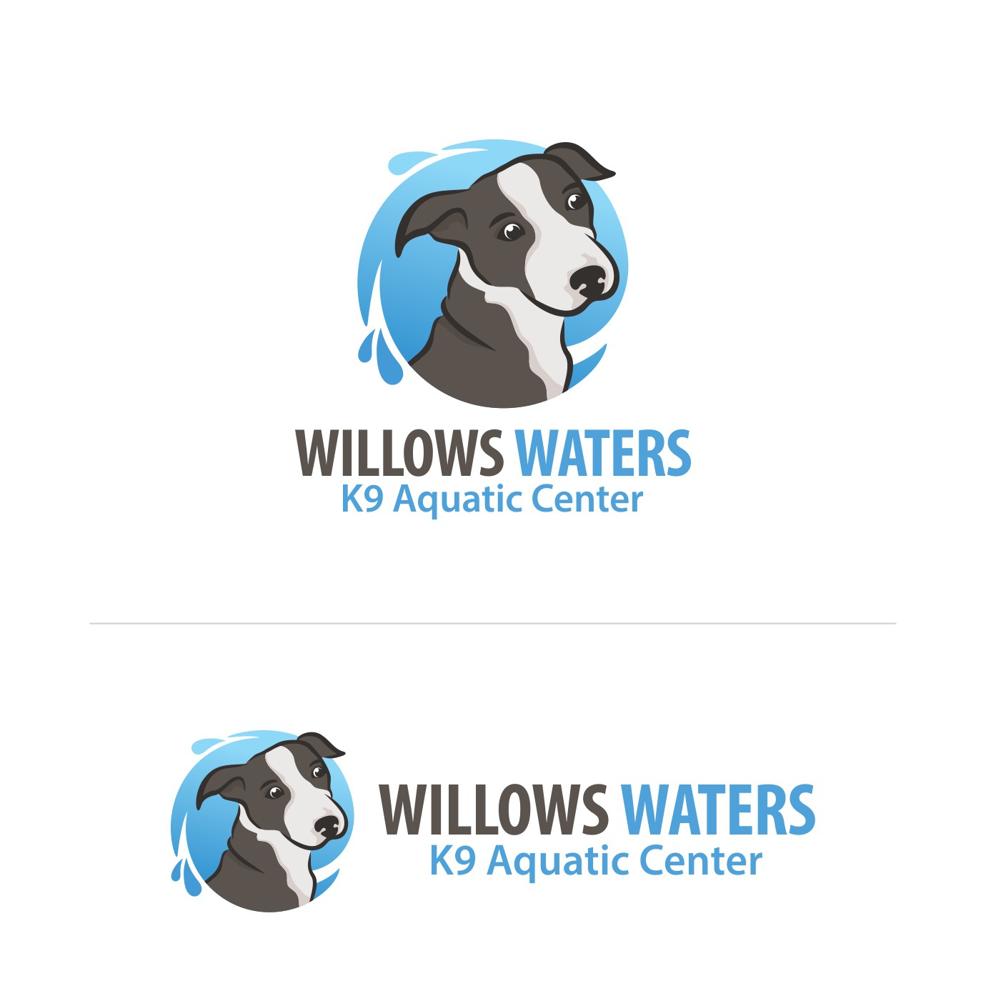 Water logo with the title 'Willows Waters'