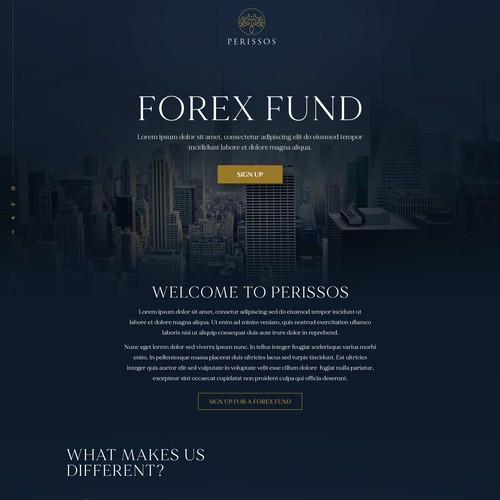 Landing page design contest entry by Jasmin_A