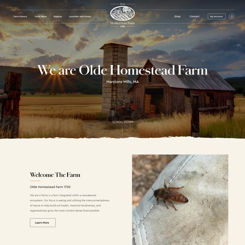 Designs | Olde Homestead Farm Website Design | Web page design contest