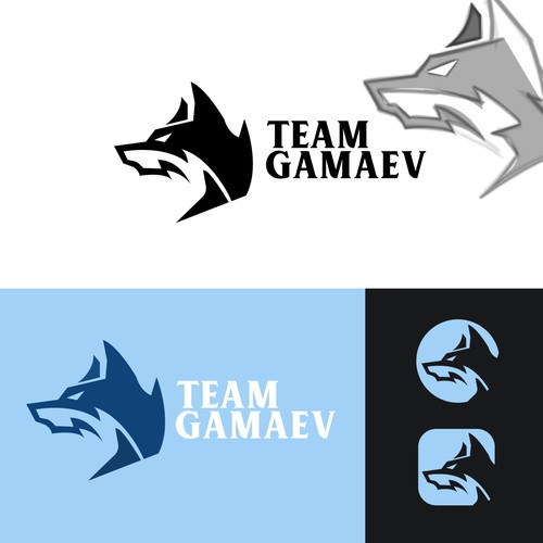 New Brand for martial arts Design by Isacfabs