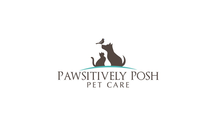 Create a logo and website for a premier pet sitting company in DC