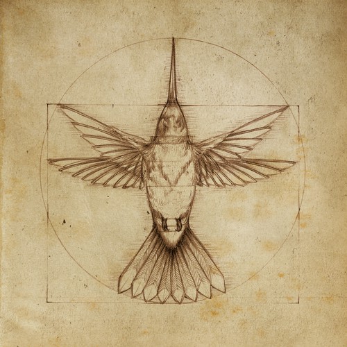 Design di Leonardo da Vinci - Hummingbird Drawing di Tarin Yuangtrakul