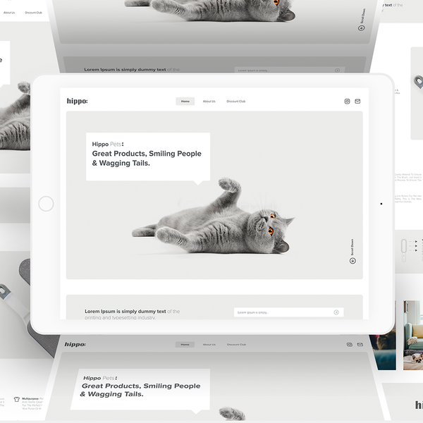 Design by Silicium Studio titled "Landing design for Hippo"