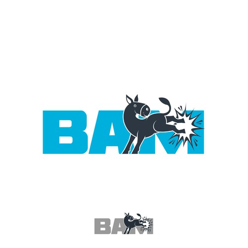 BAM *updated 6/12 read brief Design by Dendir