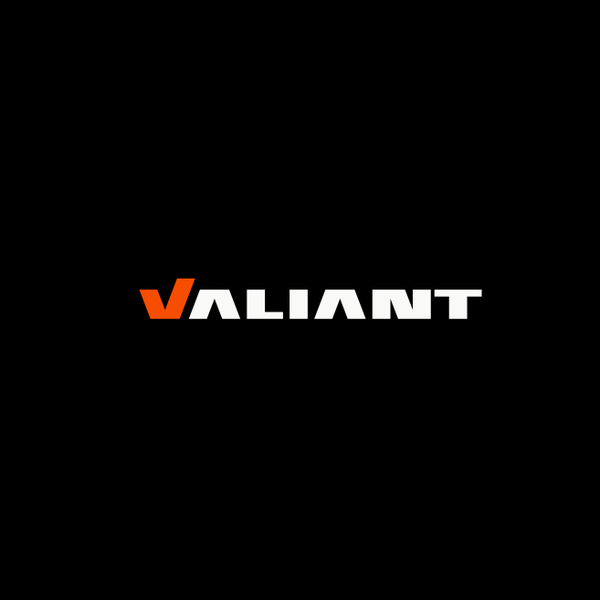 Valiant - Visual Identity & Brand Architecture