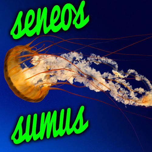 Logo design contest entry by ayoub55