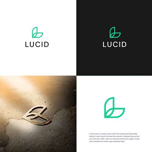 Design Help create the logo/identity of an ambitious sustainable clothing brand! por logorilla™