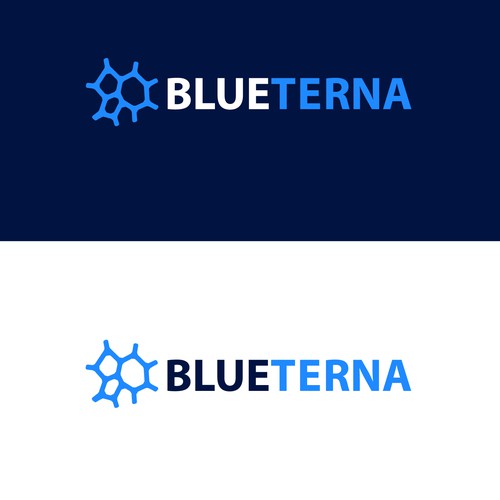 Blueterna Branding contest Design by ChioP