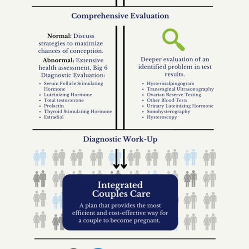 Parallel process infographic of fertility evaluation of female and male Ontwerp door selin-k