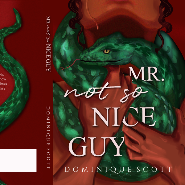 Mr. Not so Nice Guy by Dominique Scott