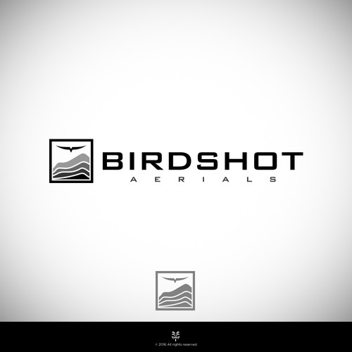 Create a high-flying view for Birdshot Aerials Design by Mastah Killah 187