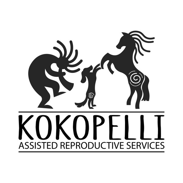 KOKOPELLI LOGO