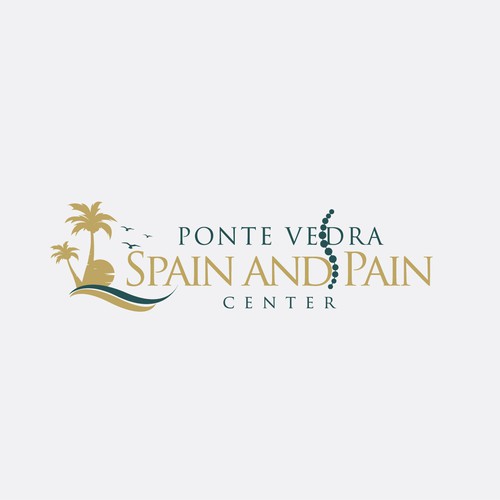 Spine and Pain Medical Practice in Florida Design by Ravee