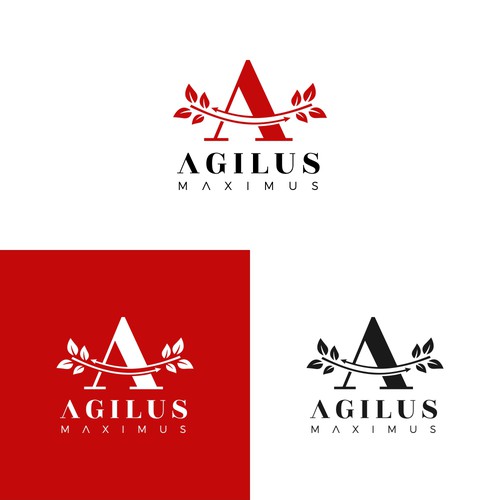 Logo for project "agilus-maximus.com" Design by MOHStudio_