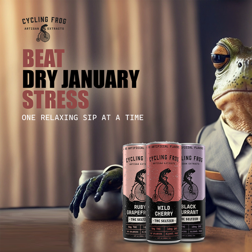 Create a 'Dry January meets High January' poster.  Have Fun, Be Creative, Open to all suggestions. Design von karundesigns
