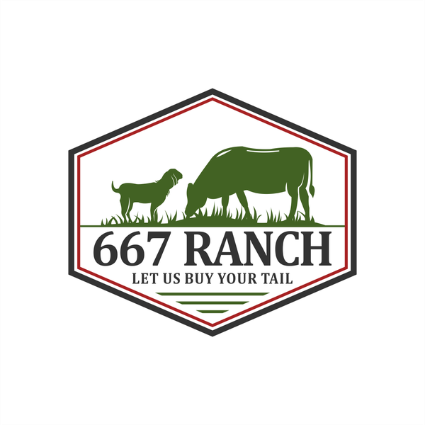 Diseño de NARENDRA Design titulado "887 RANCH"