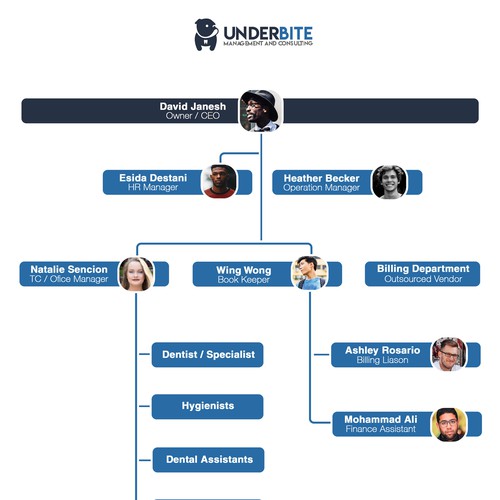 Organizational Chart for Dental Group Design by Noah E.