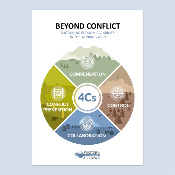 Illustration for a Solutions Framework to the Working Wild