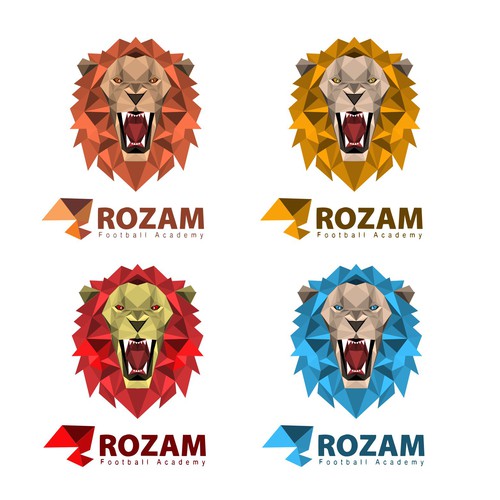 New football academy logo Design by Heyjuly