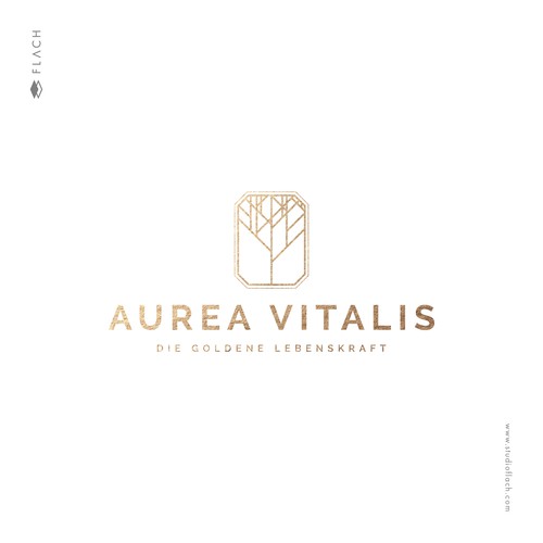 Logo & hosted website contest entry by Studio FLACH