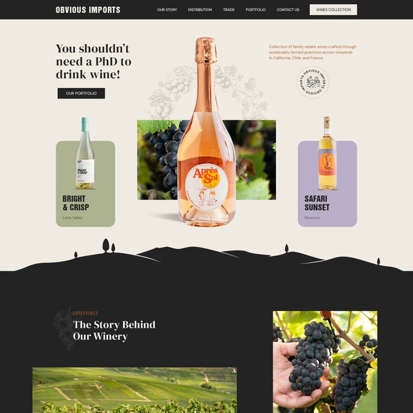 Earthy Aesthetics: A Clean and Modern Wine Website Design