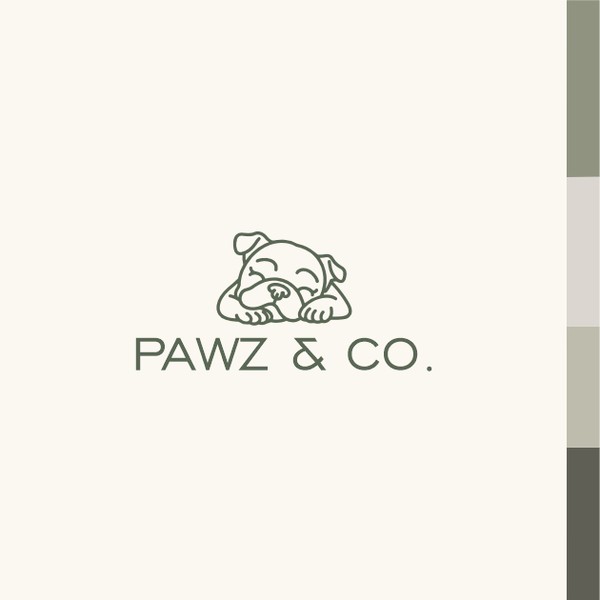 logo pawaz & co