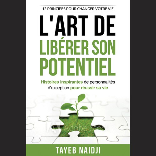 Book cover contest entry by Luigi99