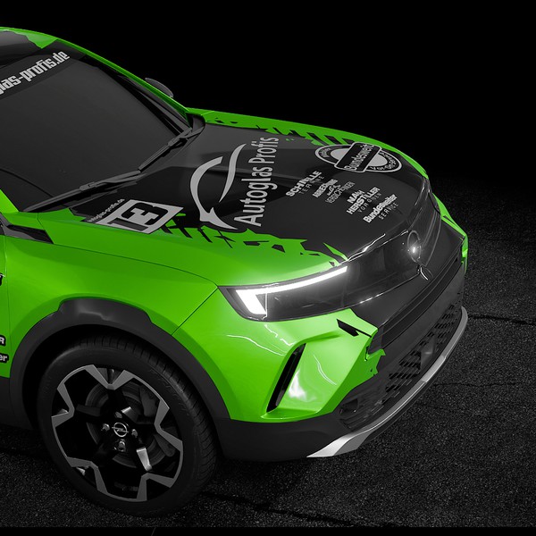 Autobeklebung in Offroad Racing Look Rally