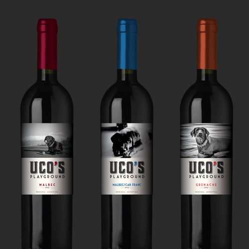 Design di Create a modern wine label for Uco's Playground (Mendoza, Argentina) di Dragan Jovic
