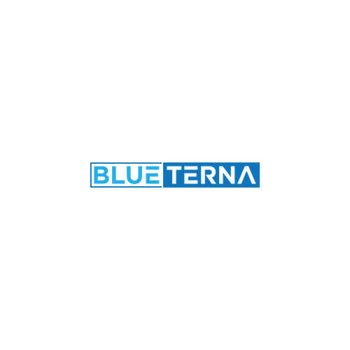 Blueterna Branding contest Design by yz©