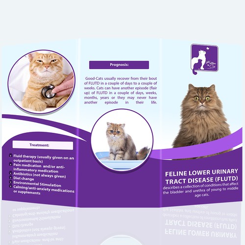 Help cats! by creating a brochure for a common CAT disease Brochure contest