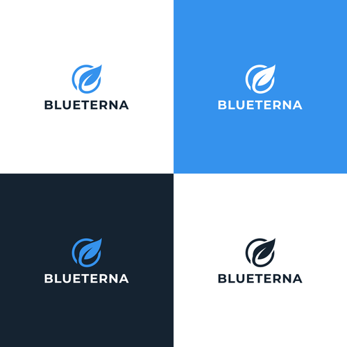 Blueterna Branding contest Design by thedendinugraha