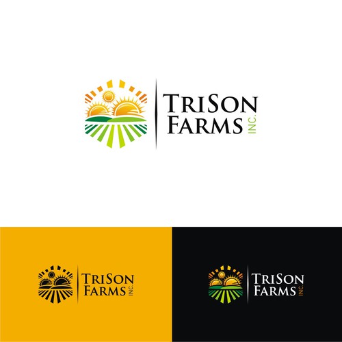 Create a modern logo incorporating 3 suns/agriculture for a well known Canadian marketing company Design por heosemys spinosa