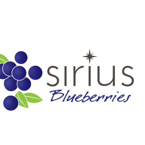 Create logo for a Maine Blueberry company | Logo design contest