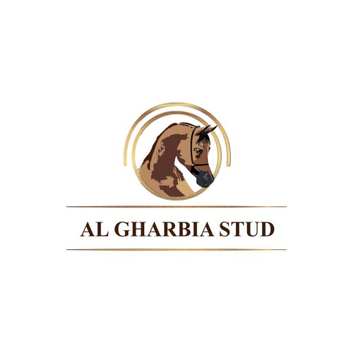 Arabian Horse LOGO Design por drdmtech