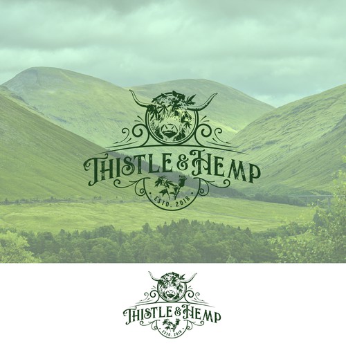 Hemp is Hot! Help us Design our "Thistle & Hemp" Logo. Check out our mascot, Scottish Highland Cattle! Design by manuk