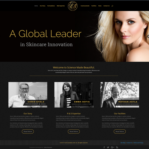 Black & gold themed website design Design by WordpressExpert