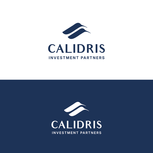 New Private Investment Firm Design by LOGStudio