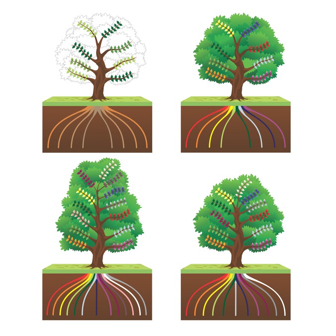 Design a learning tree - a visualisation tool for children's growth and ...