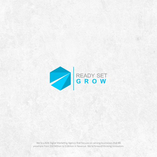 Redesign The Logo For A Leading Digital Marketing Agency Design by Hurhype.inc