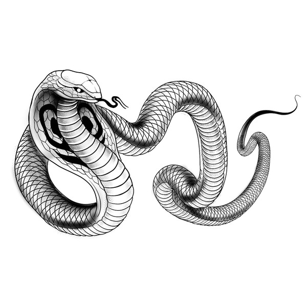 Cobra Tattoo