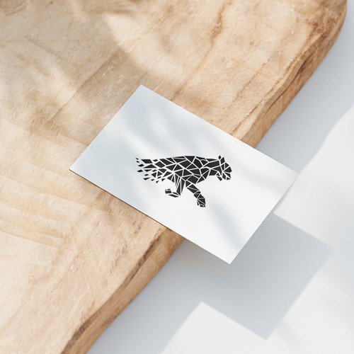 Leopard Group Design by ambrinn