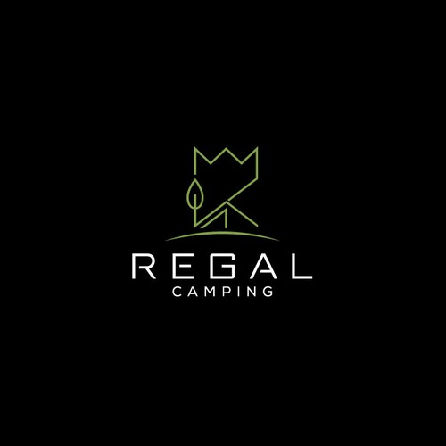 Design di Create a simple and creative logo for my camping products company. To make camping more comfortable. di oopz