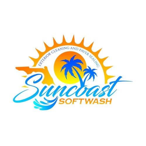 A logo for a softwash company that is appealing and inviting Design by Operation Design