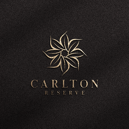 Luxurious, Exclusive, & Modern Logo Design for a Newly Constructed Florida Community Design by airdesigns24