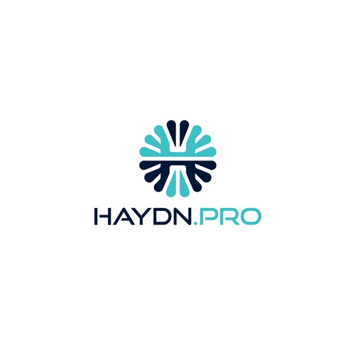 Haydn.Pro Design by Fierda Designs