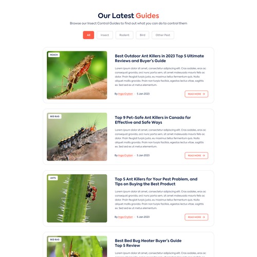Exciting and fun web design for pest control website Design by TorToi