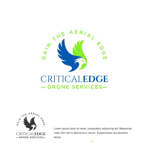 We need a logo design for new Drone inspection and survey company Design by hasnagraphics
